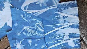 Ferienprogramm | Cyanotypie